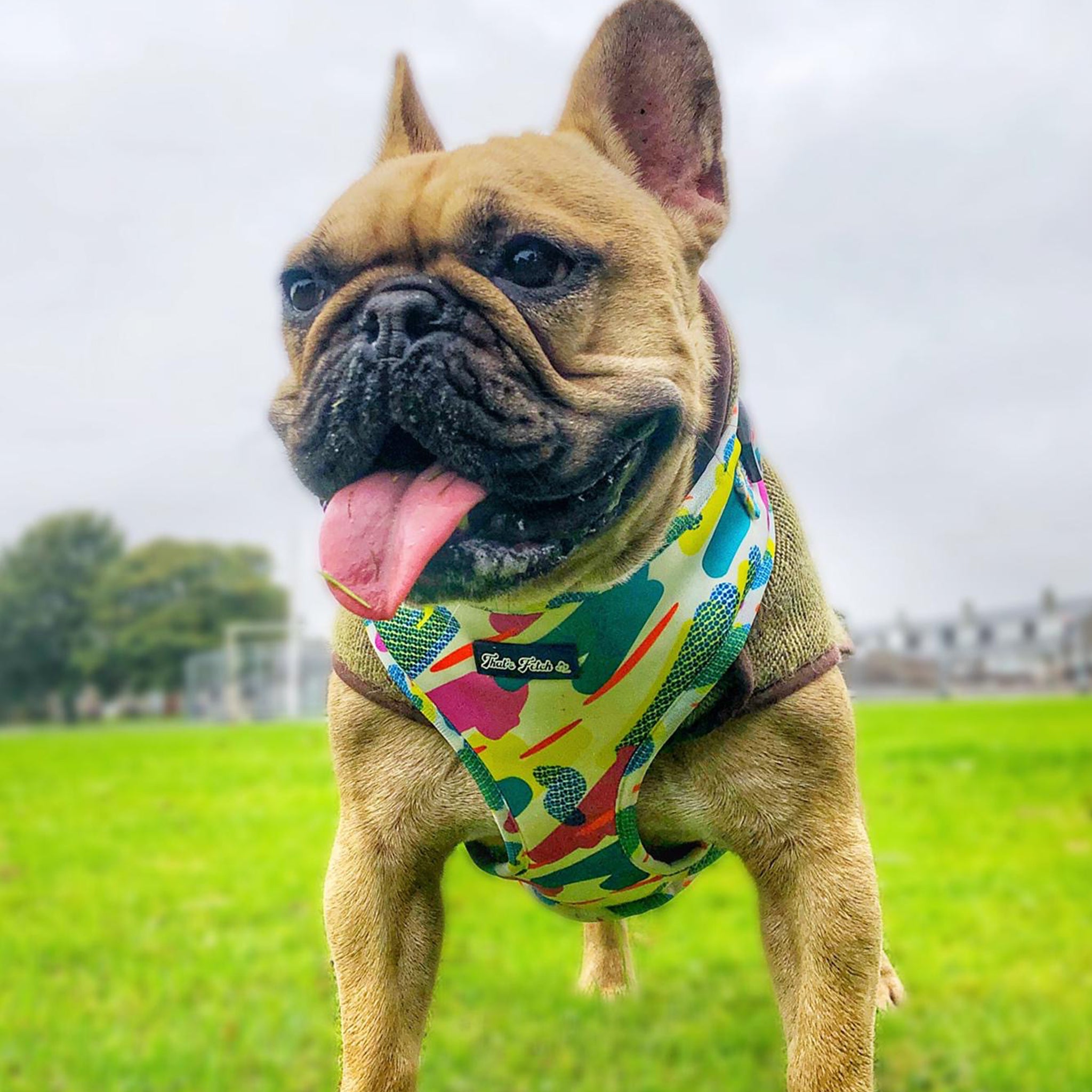 Camo & Mellow Harness
