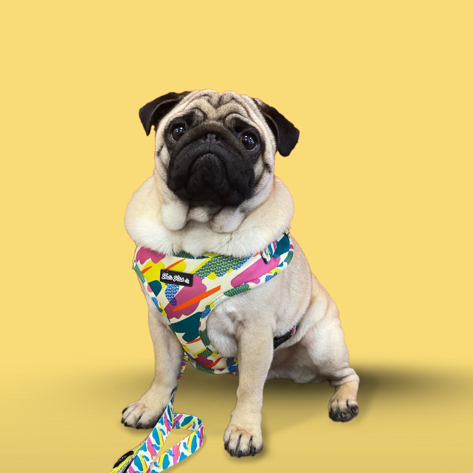 Camo and Mellow Bundle